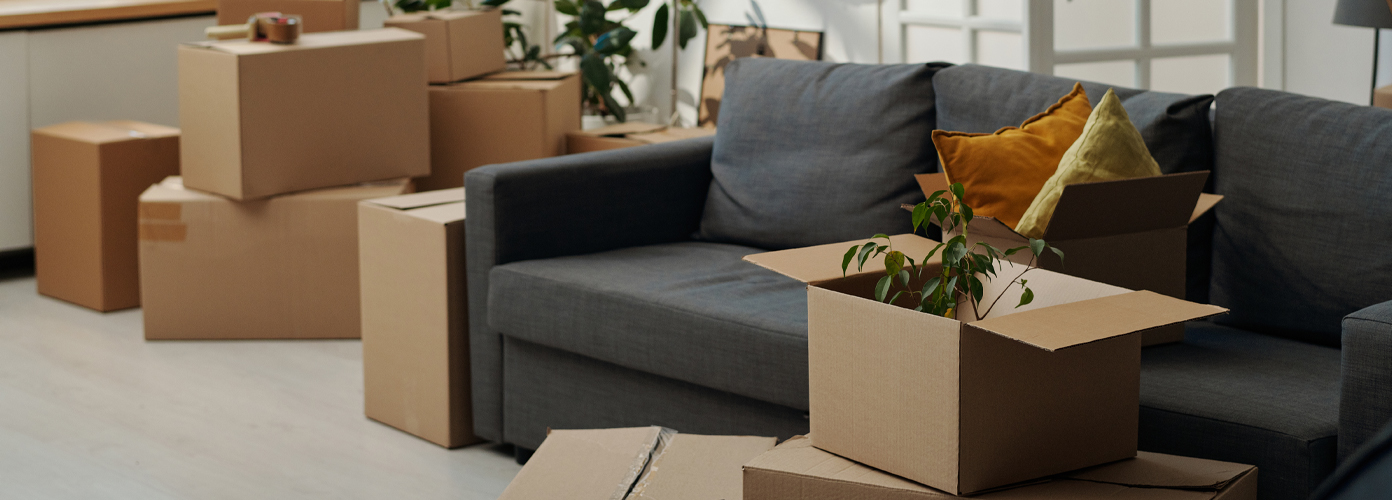 umzug ab raeumung wien niederoesterreich